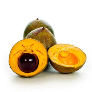 Lucuma