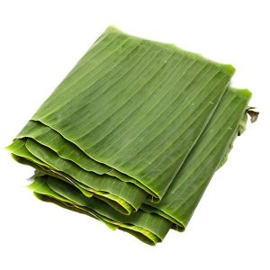 Hojas de Platano